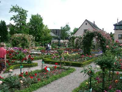 &copy; Daniel Zimmermann