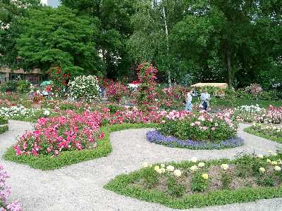 &copy; Daniel Zimmermann